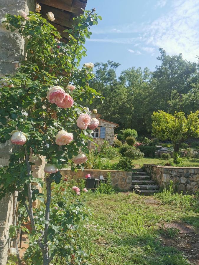Villa Domaine Geodora, Parfumeur En Provence Montauroux Exterior foto